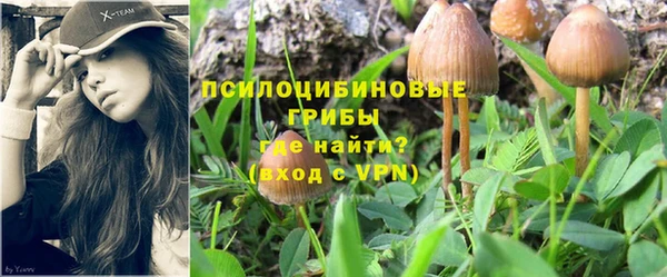 бошки Белокуриха