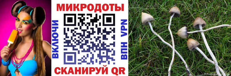 Псилоцибиновые грибы ЛСД  сколько стоит  Туран 